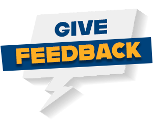 vcds-sfd-give-feedback-bild-en SFD